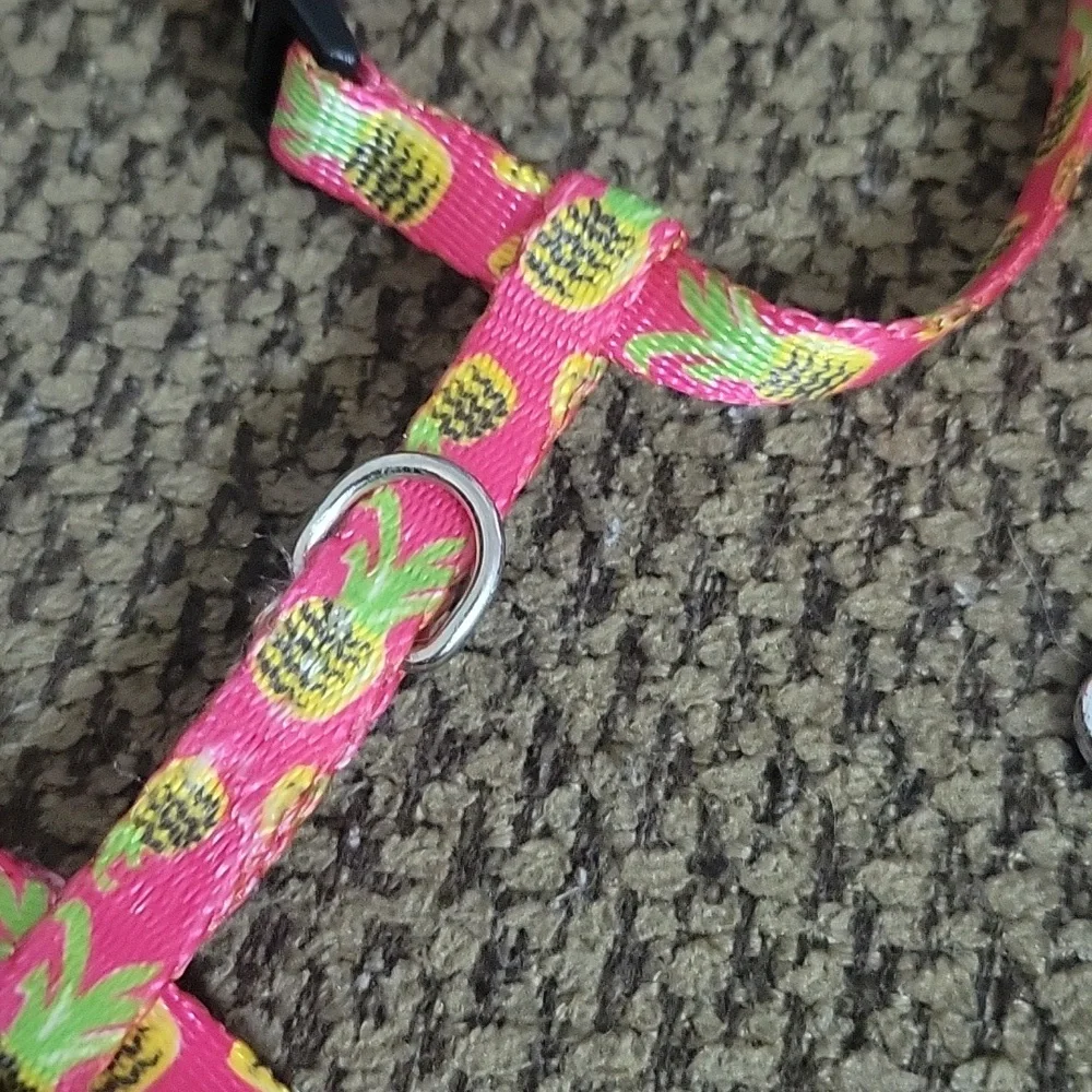 Cat leash and harness